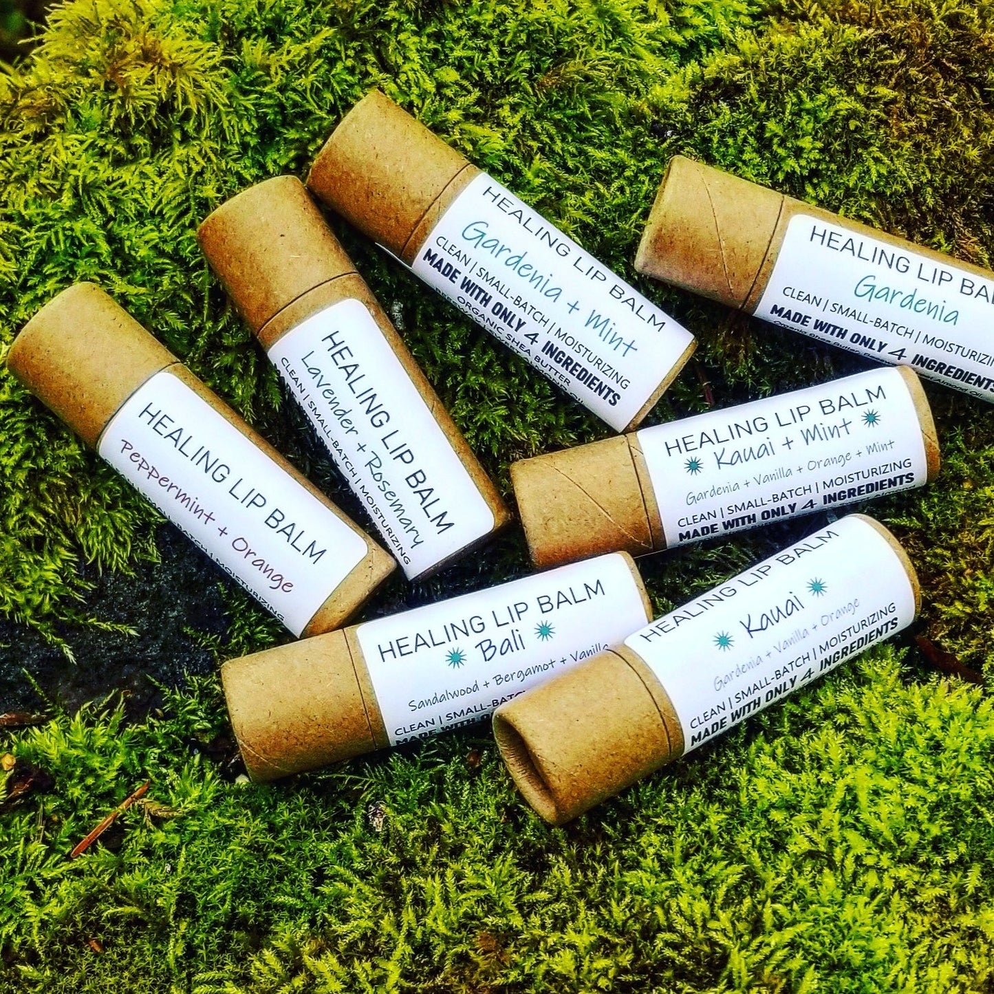 Lip Balms | COMPOSTABLE Cardboard | Deeply Moisturizing | Creamy | Sustainable PLANET-FRIENDLY | Clean Lip Balms / Chapstick | Heal Dry Chapped Lips!